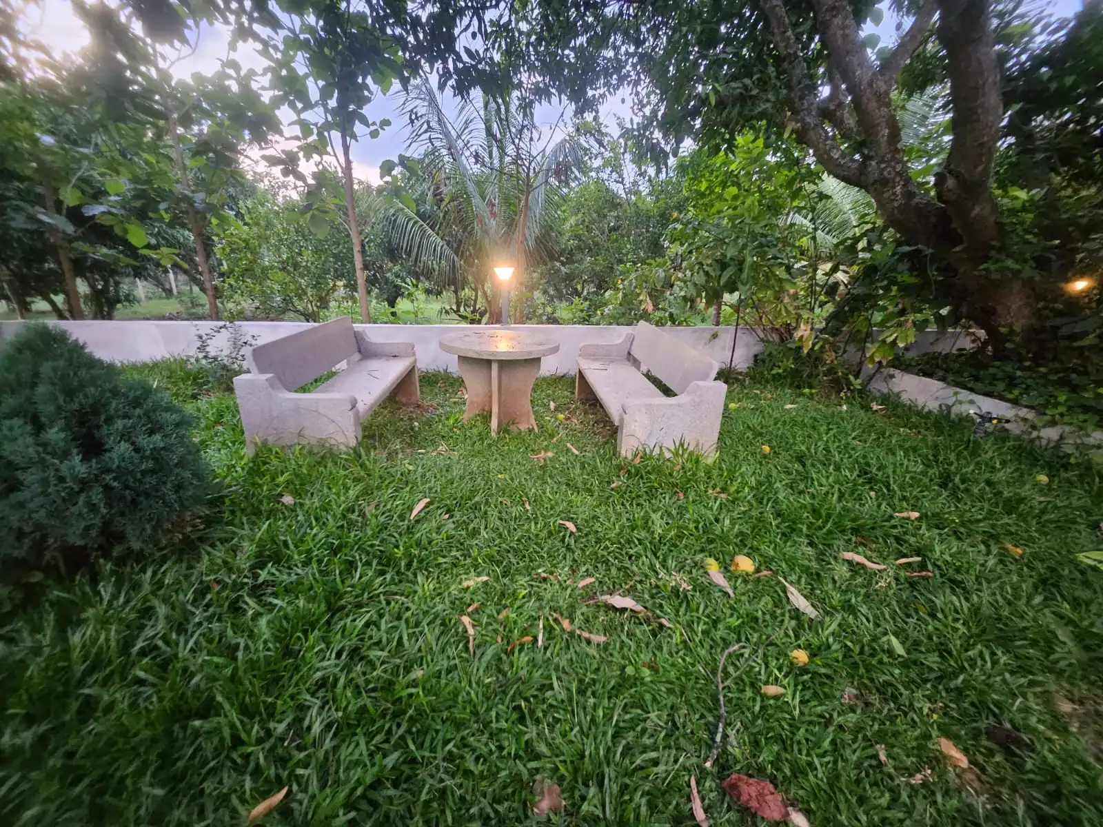 Lawn Sitting Area